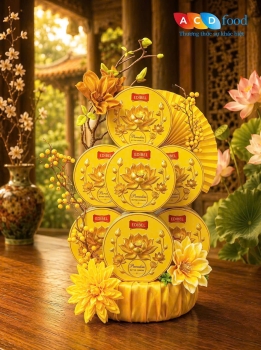 HÀNG TẾT 2026-2027
